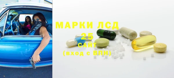 ПСИЛОЦИБИНОВЫЕ ГРИБЫ Бородино