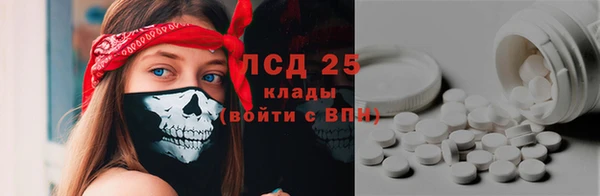 ПСИЛОЦИБИНОВЫЕ ГРИБЫ Бородино