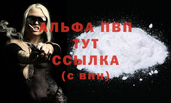 ПСИЛОЦИБИНОВЫЕ ГРИБЫ Бородино