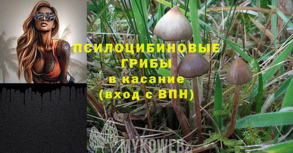 ПСИЛОЦИБИНОВЫЕ ГРИБЫ Бородино