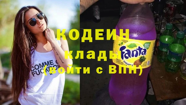 ПСИЛОЦИБИНОВЫЕ ГРИБЫ Бородино