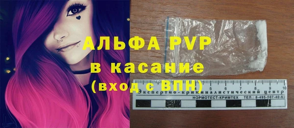 ПСИЛОЦИБИНОВЫЕ ГРИБЫ Бородино