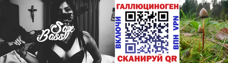 закладки  сайты даркнета какой сайт  Галлюциногенные грибы Psilocybine cubensis  Нерехта  mega ссылка 